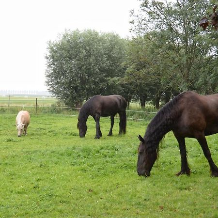 Apartment Het Friesche Paard Purmer Exterior foto
